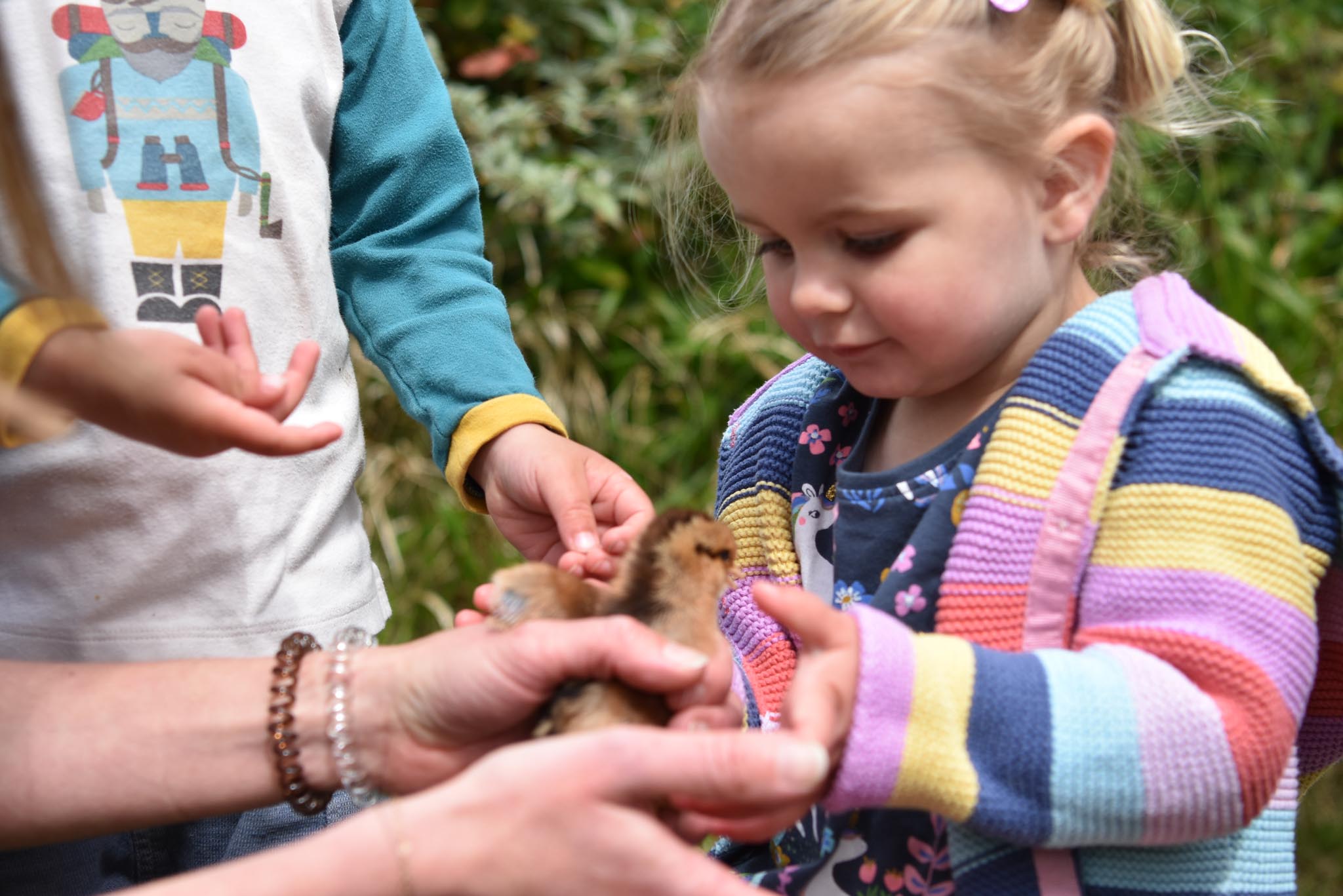 tiny trees, nursery, Lostwithiel